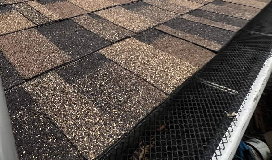 A black mesh gutter guard fitted over the gutter at the eave of a shingle roof, with leaf debris caught on top of the mesh
