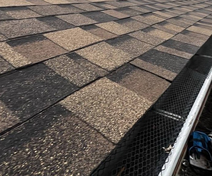 Shingle courses running down to the eave, where a black mesh guard covers the gutter trough behind a white drip edge